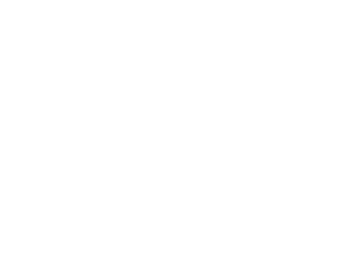 Aceink